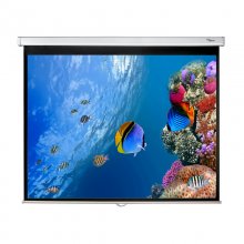 Optoma Pantalla de Proyección Manual 171x128 84" en PcComponentes