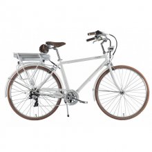Brinke Golden Gate Gents Bicicleta Eléctrica Branca en PcComponentes