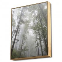 Energy Sistem Frame Speaker Altifalante Bluetooth Forest 50W en PcComponentes