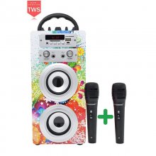 Dynasonic Karaoke 025 Altavoz Bluetooth TWS con Karaoke y 2 Micrófonos Multicolor en PcComponentes