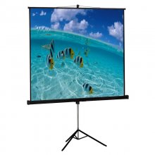 Approx Pantalla de Proyección Con Trípode 180 x 180 en PcComponentes