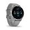 Garmin Venu 2 Plus GPS WiFi Bluetooth NFC 43mm AMOLED Gris Argent Étanche 5ATM SpO2 Pulsomètre