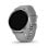 Garmin Venu 2 Plus GPS WiFi Bluetooth NFC 43mm AMOLED Gris Argent Étanche 5ATM SpO2 Pulsomètre