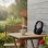 Auriculares Red Bull inalámbricos Bluetooth con micrófono y USB-C negros