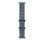Cinturino Apple Ocean Anchor Blue Titanio Fluoroelastomero per Apple Watch 44-49mm