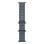 Cinturino Apple Ocean Anchor Blue Titanio Fluoroelastomero per Apple Watch 44-49mm