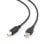 USB-Kabel Gembird USB2-AB-15 Goldbeschichtet 4,5m, A/B Male/Male, Schwarz