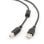 Cable USB Gembird CC-USB2-AMBM-10 Premium 3m A Macho a B Macho Negro