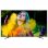 Hisense 65N6800 65" ULED UltraHD 4K en PcComponentes