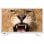 Nevir NVR-7418-20HD-B 20" LED HD en PcComponentes