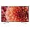 Sony KD65XF9005 65" LED UltraHD 4K en PcComponentes