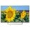Televisor Sony KD43XF8096 43" LED UltraHD 4K en PcComponentes