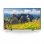 Sony KD-49XF7596 49" LED UltraHD 4K Reacondicionado en PcComponentes