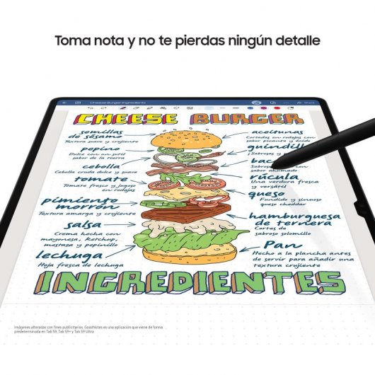 Samsung Galaxy Tab S9 Ultra WiFi 12/512GB Gris + Cargador Reacondicionado