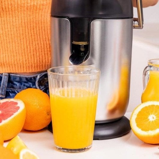 Espremedor Cecotec Xqueeze Bullet Pro 600W Braço Aço Inox Filtro Plástico