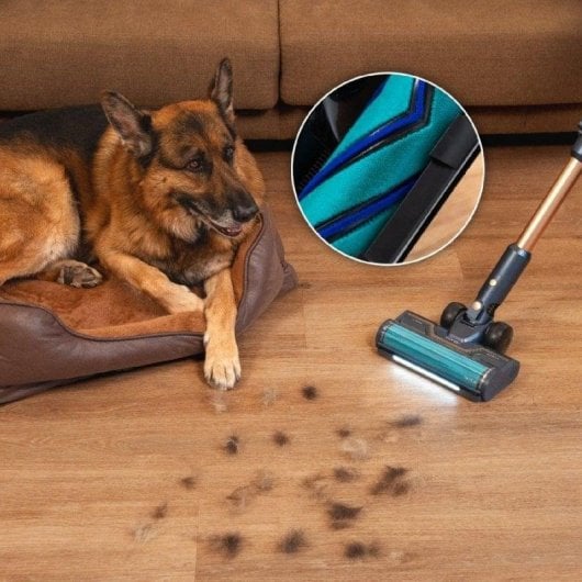 Aspiradora sem fios Cecotec Conga Rockstar 10500 Solar AquaPet Flex 780W 100min Filtro HEPA