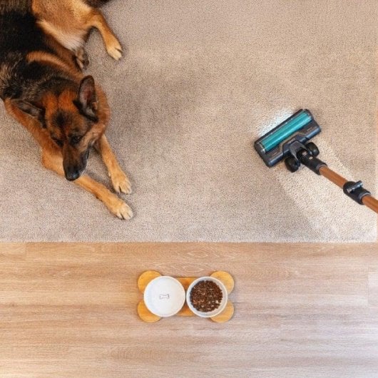 Aspiradora sem fios Cecotec Conga Rockstar 10500 Solar AquaPet Flex 780W 100min Filtro HEPA