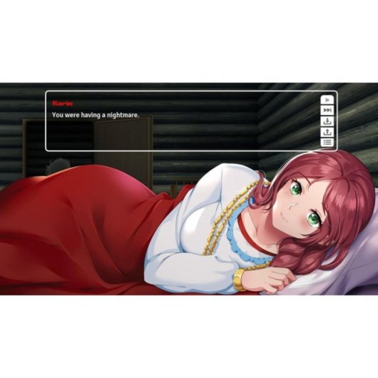 Cooking Companions - Premium Edition SWITCH