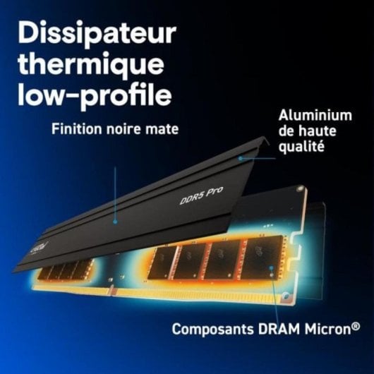 Memoria RAM Crucial Pro CP2K24G60C48U5 48GB 2x24GB DDR5 6000MHz CL48 UDIMM