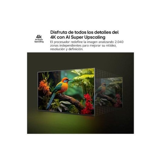 TV LG QNED QNED8E 43" 4K Smart TV HDR10 Pro IA