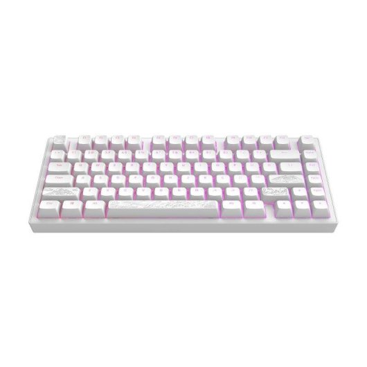 Teclado mecânico Dark Project Terra Nostra Layout ANSI branco RGB
