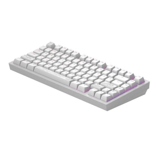 Teclado mecânico Dark Project Terra Nostra Layout ANSI branco RGB