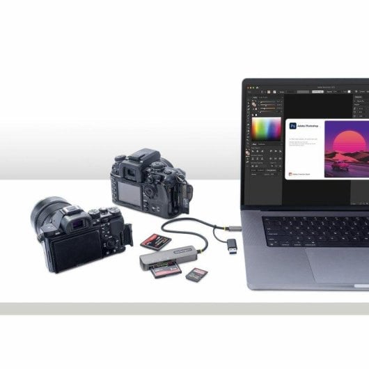 Lector de Tarjetas Startech USB 3.0 SD CF microSD Adaptador USB-C/A Gris