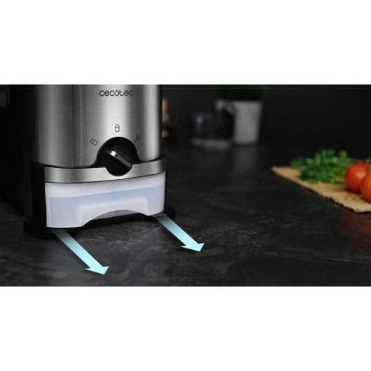 Fritadeira tradicional Cecotec CleanFry 3000 ProFilter 3L 2000W filtragem óleo lavável