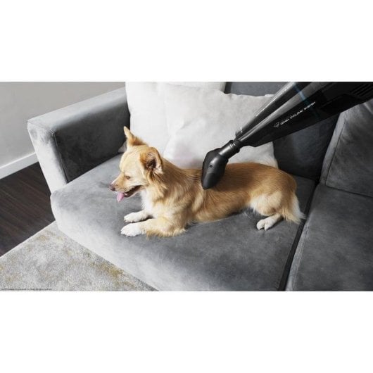 Aspirateur à main Cecotec Conga Immortal ExtremeSuction 22.2V Wet&Dry HEPA AnimalCare