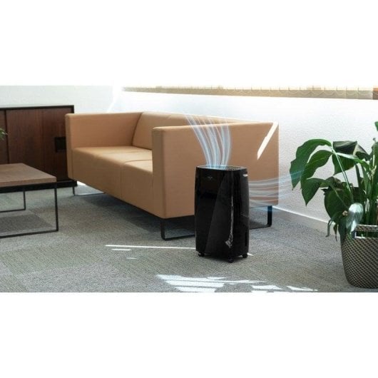 Déshumidificateur Cecotec BigDry 4000 Expert Noir 10L/jour 2,5L LED Timer