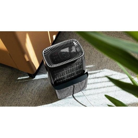 Déshumidificateur Cecotec BigDry 4000 Expert Noir 10L/jour 2,5L LED Timer