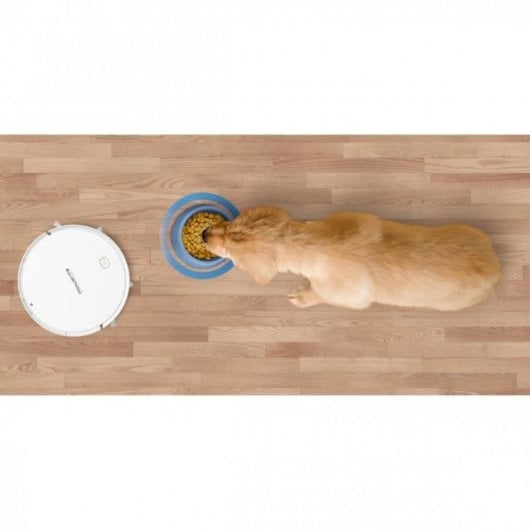 Rowenta Explorer Serie 40 Animal + Connect Robot Aspirador