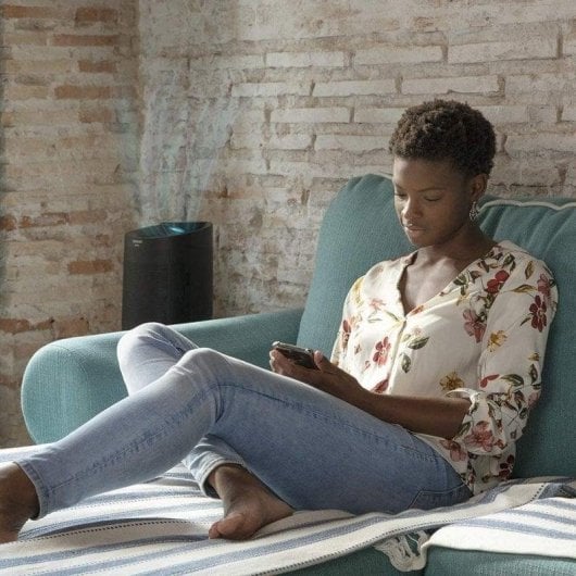 Deshumidificateur Cecotec BigDry 3000 PureLight Black 1 L 750 ml/jour Purification de l'air