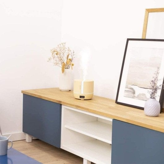 Diffusore di Aromi Cecotec PureAroma 550 Connected SunLight 500ml Bluetooth Speaker LED