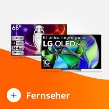 fernseher