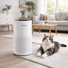 Purificadores de ar HEPA