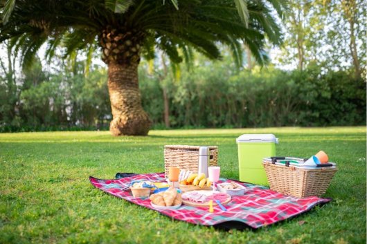 Una de las mejores neveras portátiles en un camping