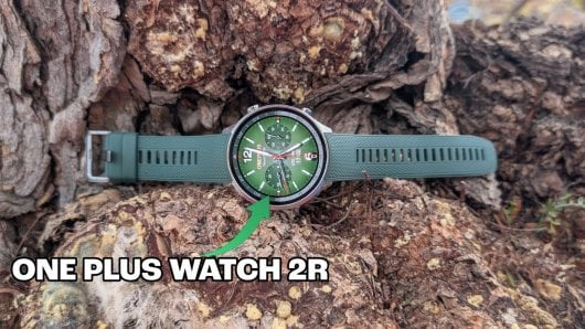 El smartwatch OnePlus 2R posado sobre un árbol