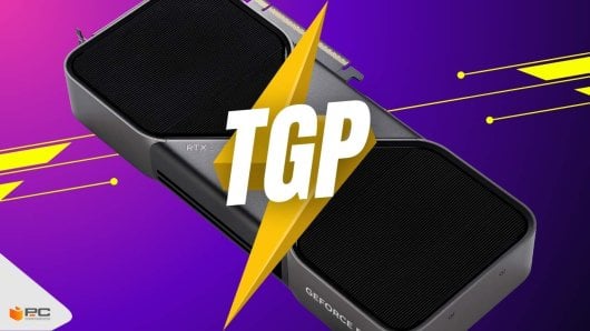 tgp que es