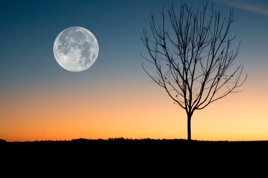 Cómo hacer fotos a la luna
