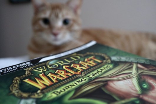 Blizzard saca World of Warcraft: Dragonflight