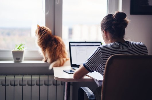 melhor cadeira para o teletrabalho