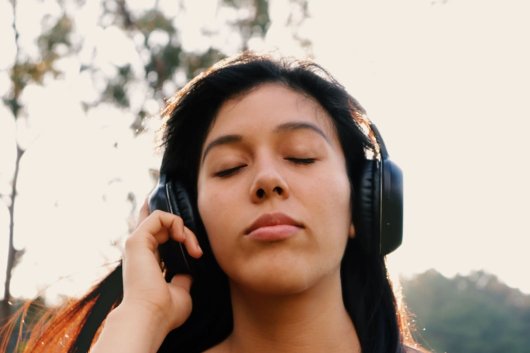 Razer Blackshark V2 vs V2x