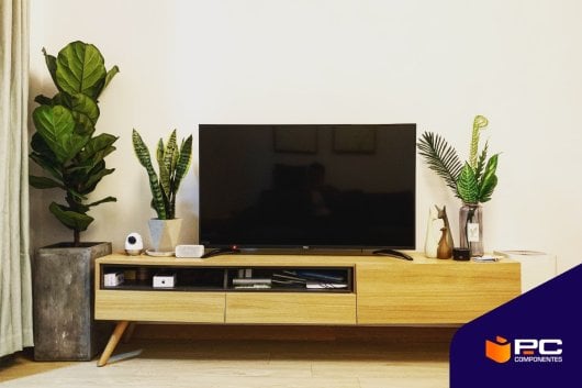 Un televisor OLED rodeado de plantas en un estante