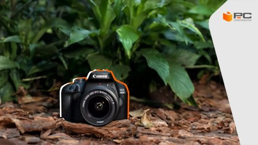 Las mejores cámaras réflex calidad precio 