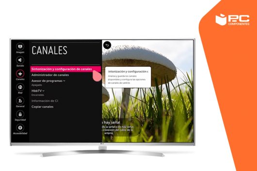 Cómo sintonizar y ordenar canales de televisor LG