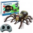 Discovery IR Tarántula Radiocontrol con Infrarrojos Animal Realista para Niños de 8 Años