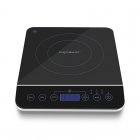 Aigostar Bluefire Placa Inducción Portátil 2000W