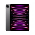 Apple iPad Pro 2022 11" WiFi 256GB Gris Espacial
