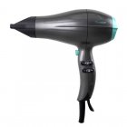 Bastilipo SP-2000AC Secador de Pelo Profesional 2000W